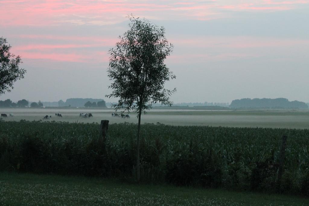 Veluwemeerpension Bed and breakfast *